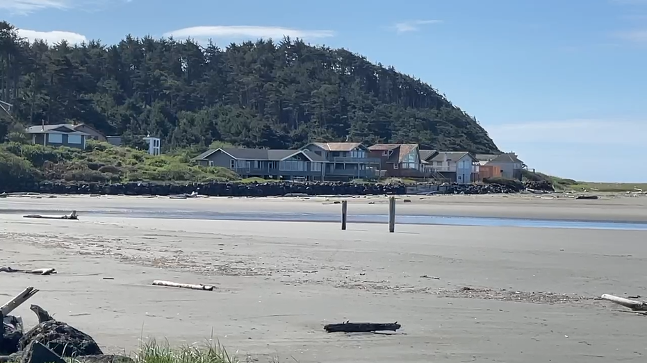 Researchers make discovery off Pacific Coast to better understand earthquakes: ‘Messengers from the deep’