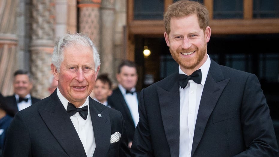 King Charles 'delighted' by Prince Harry's UK visit, but 'too soft' to  resolve royal rift: experts | Fox News