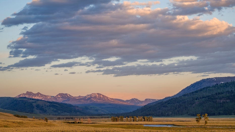 Lamar Valley in Yellowstone National Park