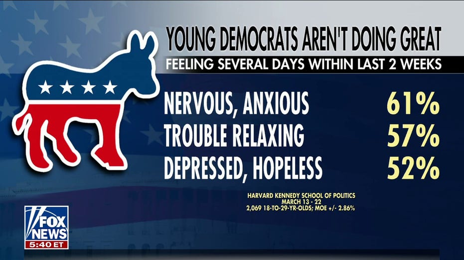 Young Democrats feel ‘nervous,’ ‘anxious’ and ‘depressed’: Gone from a ‘yes we can country to a no you can’t’