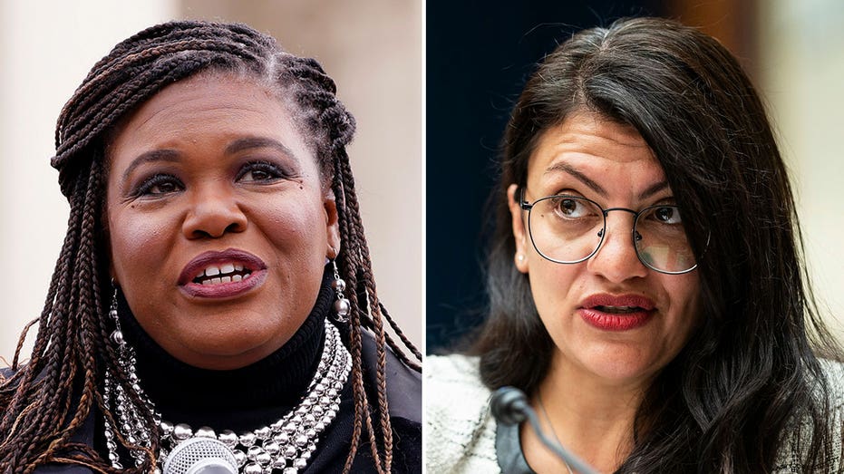 Democrat 'Squad' member backs Rep. Tlaib's use of chant which calls for 'genocide,' Israel's destruction