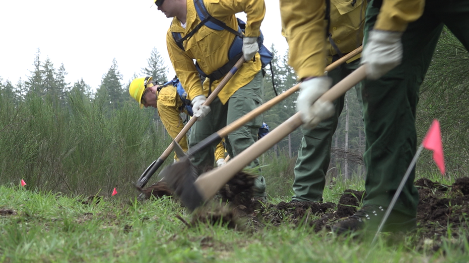 Wildland firefighter trainees prepare for fast-approaching wildfire season: 'Opportunity to give back'