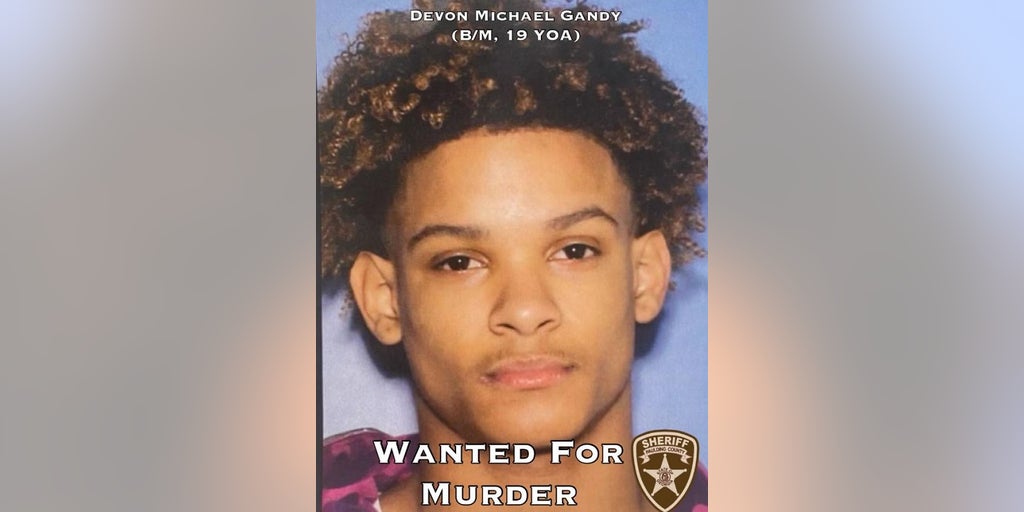 Georgia murder suspect with identical twin being sought in mobile home park killing - Vimarsana News