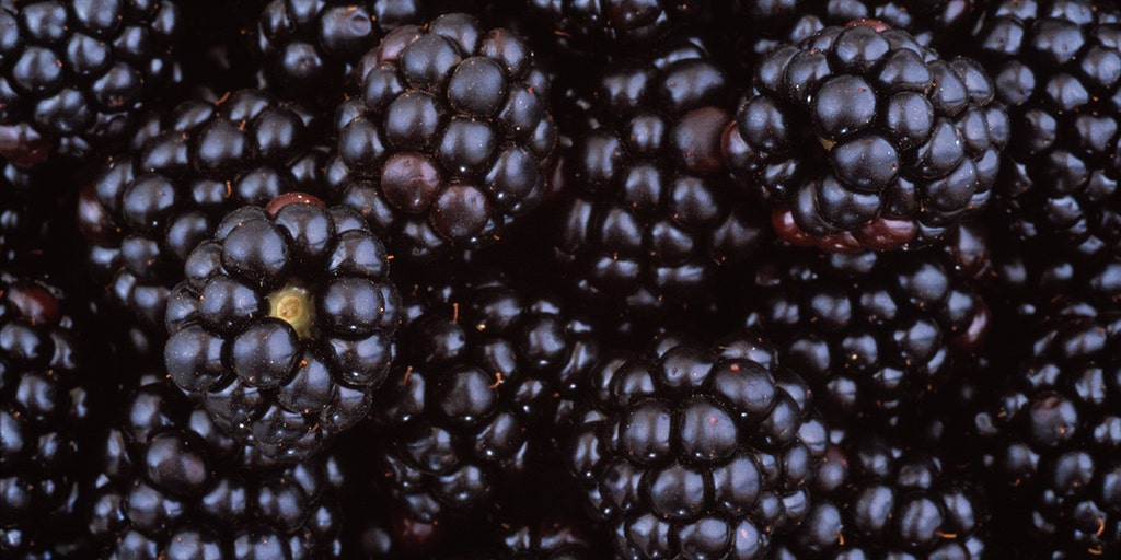 Brain-boosting foods for fighting memory loss, preventing Alzheimer's disease - Vimarsana News