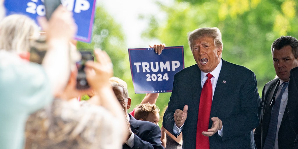 GOP presidential field expands but will it help or hurt Trump in fight for 2024 Republican nomination