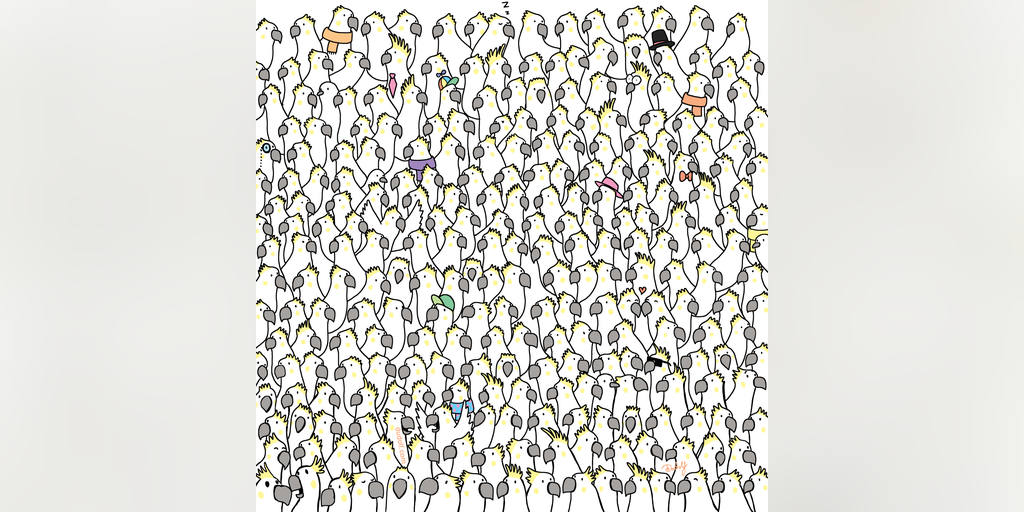 Brain teaser: Can you find four doves hidden among the cockatoos? - Vimarsana News