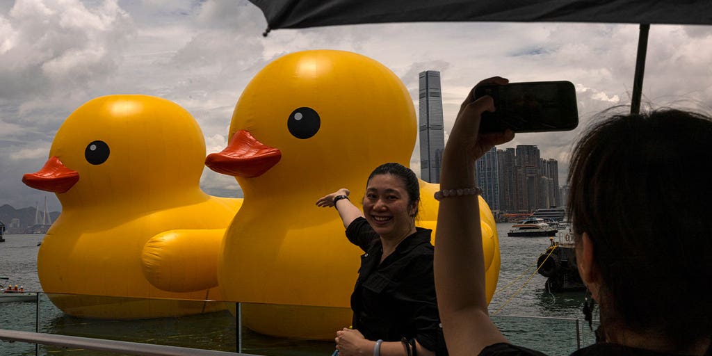 Giant inflatable ducks return to Hong Kong after 10 years as pop-art project - Vimarsana News