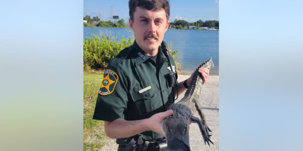 Florida officers 'question' alligator hiding under car: 'A suspicious character' - Vimarsana News