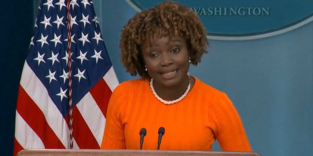 Biden admin shredded for targeting bans on trans treatment for kids: 'Federal government has been weaponized' - Vimarsana News