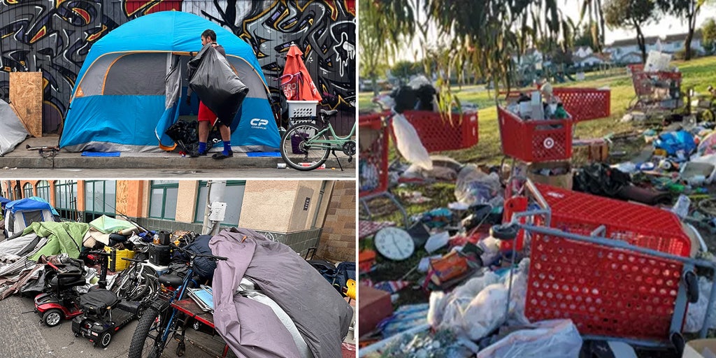 Well-to-do California residents loudly boo official at council meeting for proposal to house homeless: Report - Vimarsana News