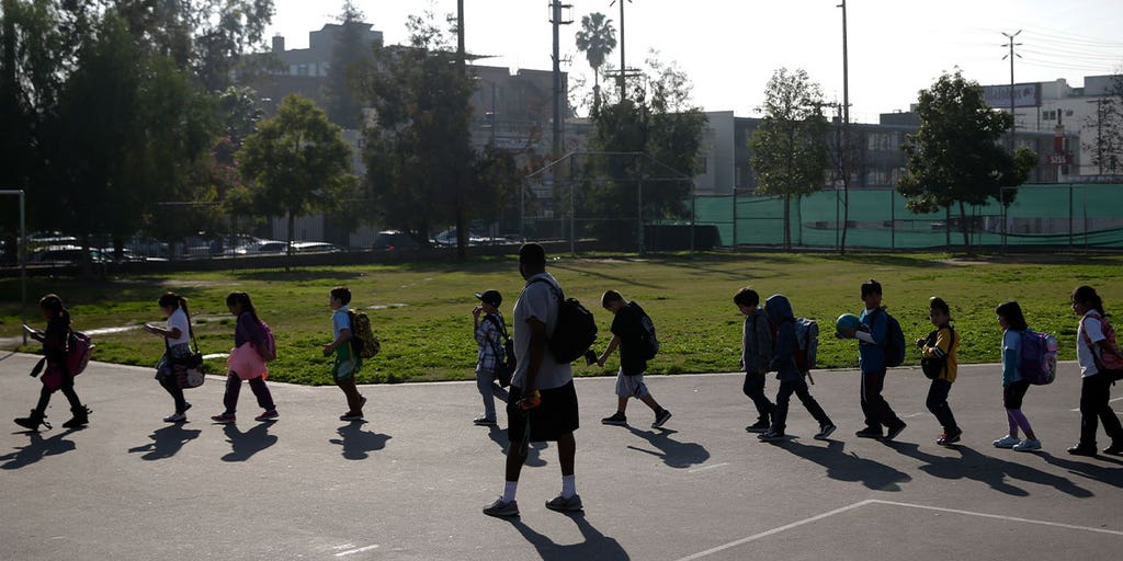 California Senate approves measure that could mandate schools to plant trees to cool down outside areas - Vimarsana News