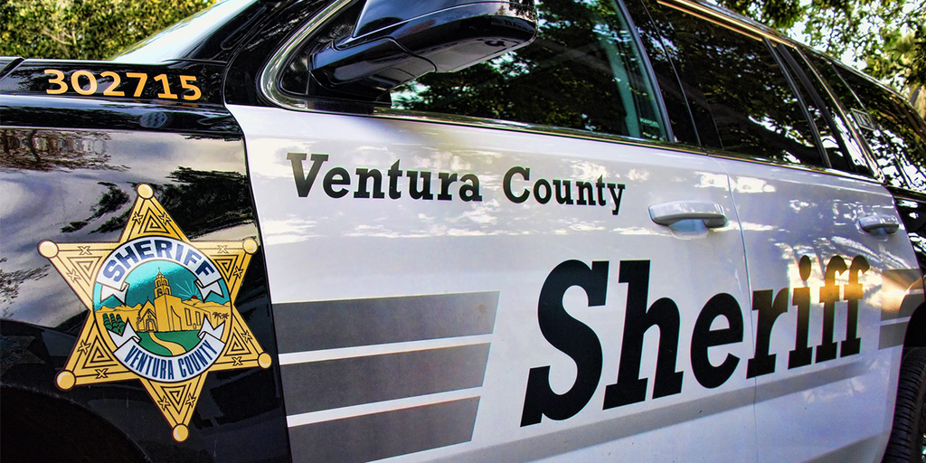 Jewish man dies after apparent assault by pro-Palestinian protester at California rally - Vimarsana News