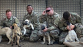 A group of Army soldiers rescued a stray dog and her puppies while on deployment in the Middle East.