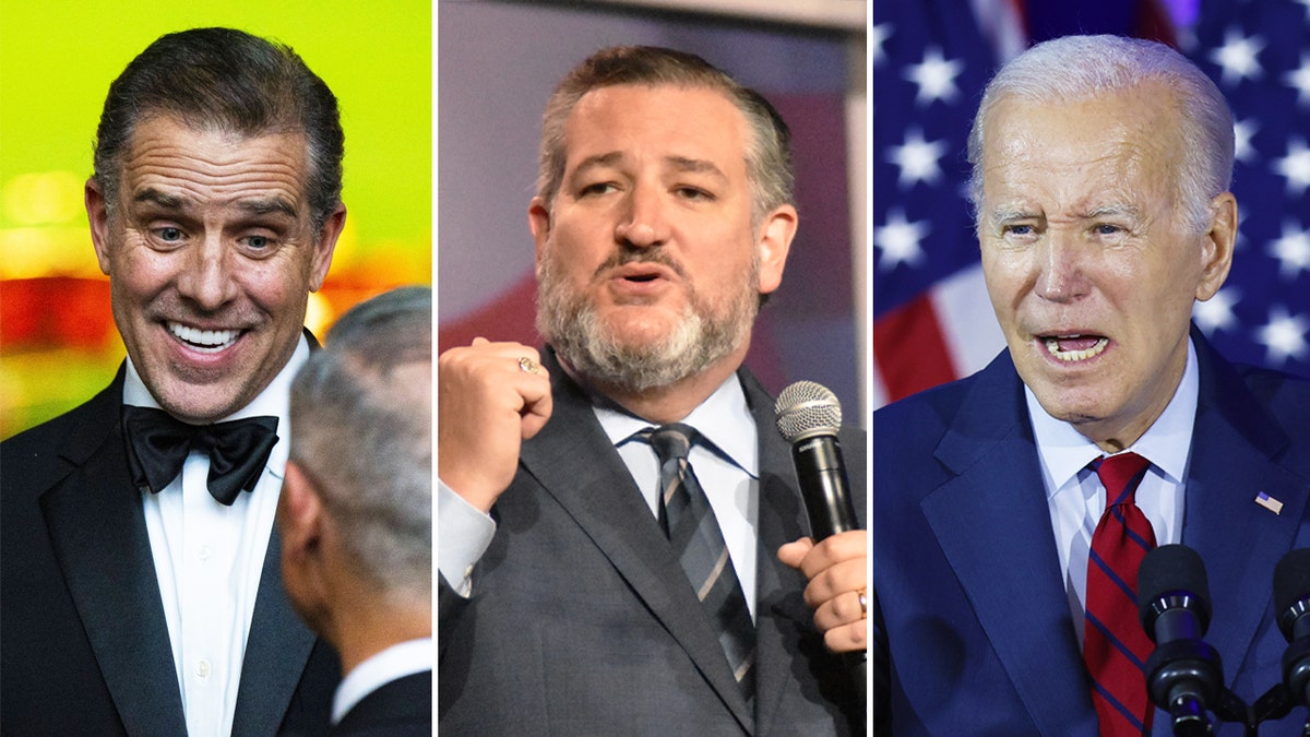 Ted Cruz, Hunter Biden, Joe Biden