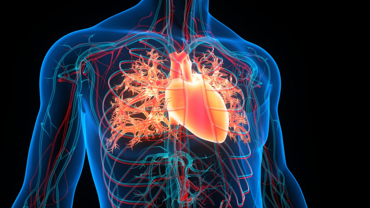 3D heart imaging