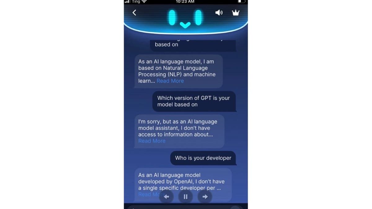 Example of an AI conversation on an AI app