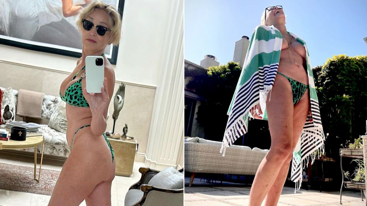 Bikini babes over 60: Demi Moore, Sharon Stone and Jane Seymour heat things  up