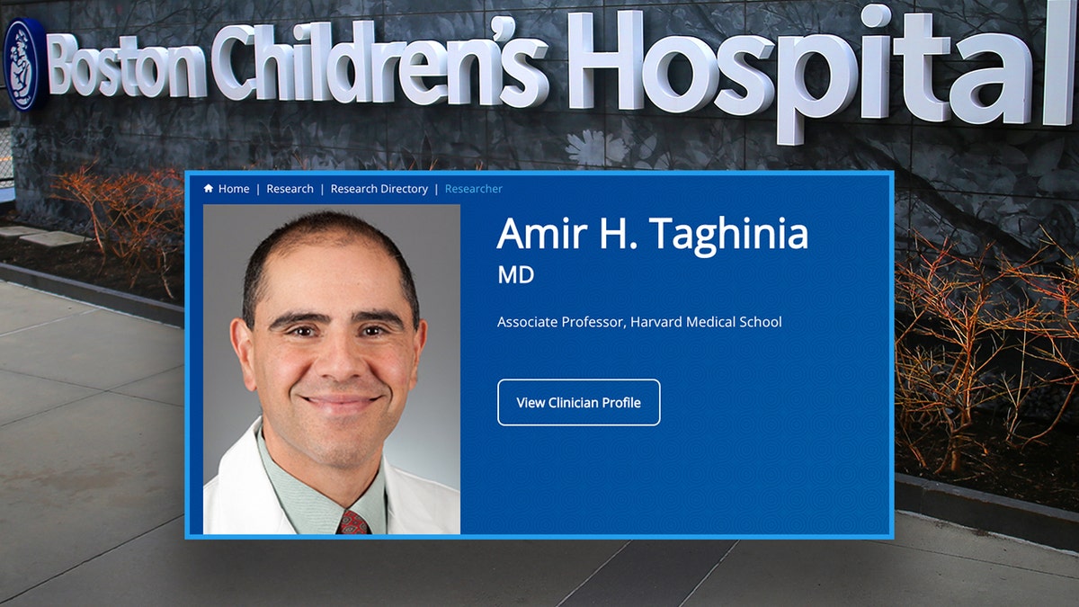 Dr. Amir Taghinia