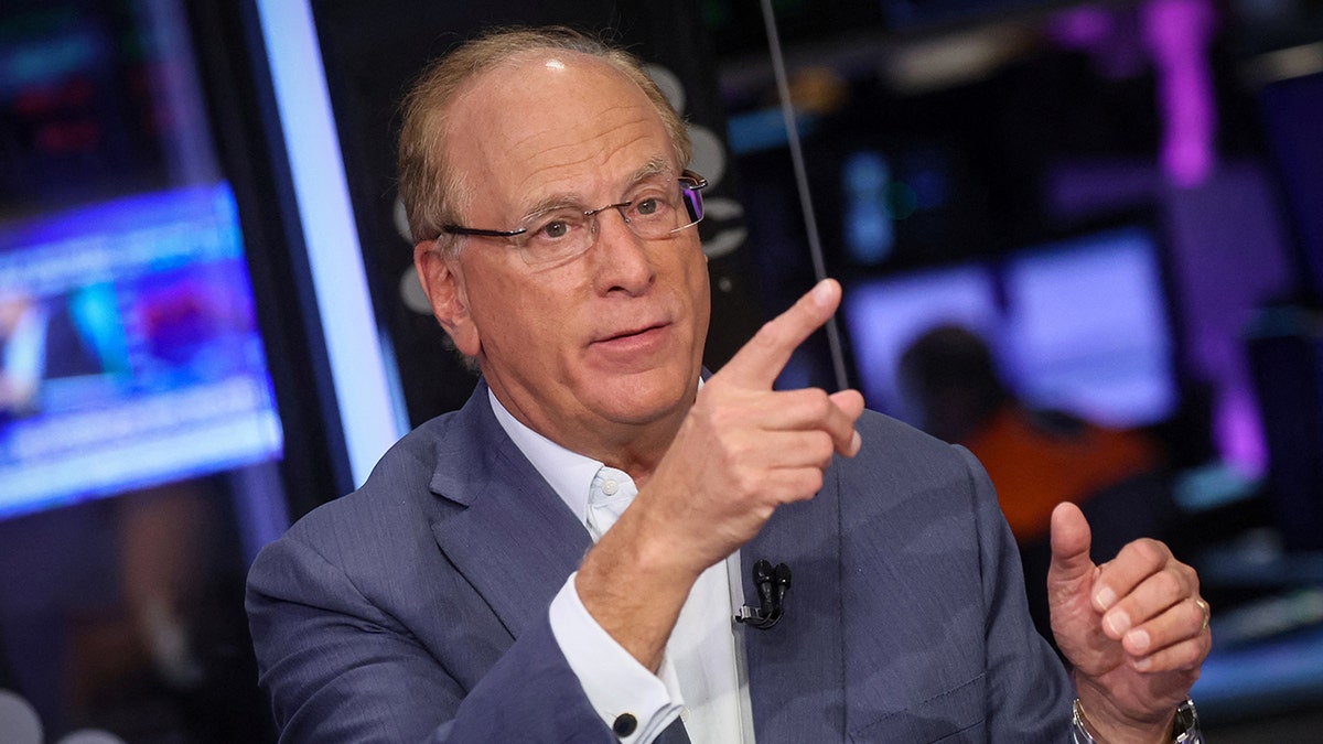 BLACKROCK-CEO-LARRY-FINK-NEW-YORK