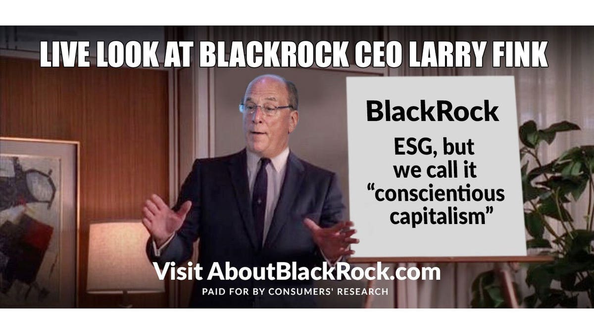 Activist Investor Bluebell Targets BlackRock, Seeks Ouster of CEO Fink