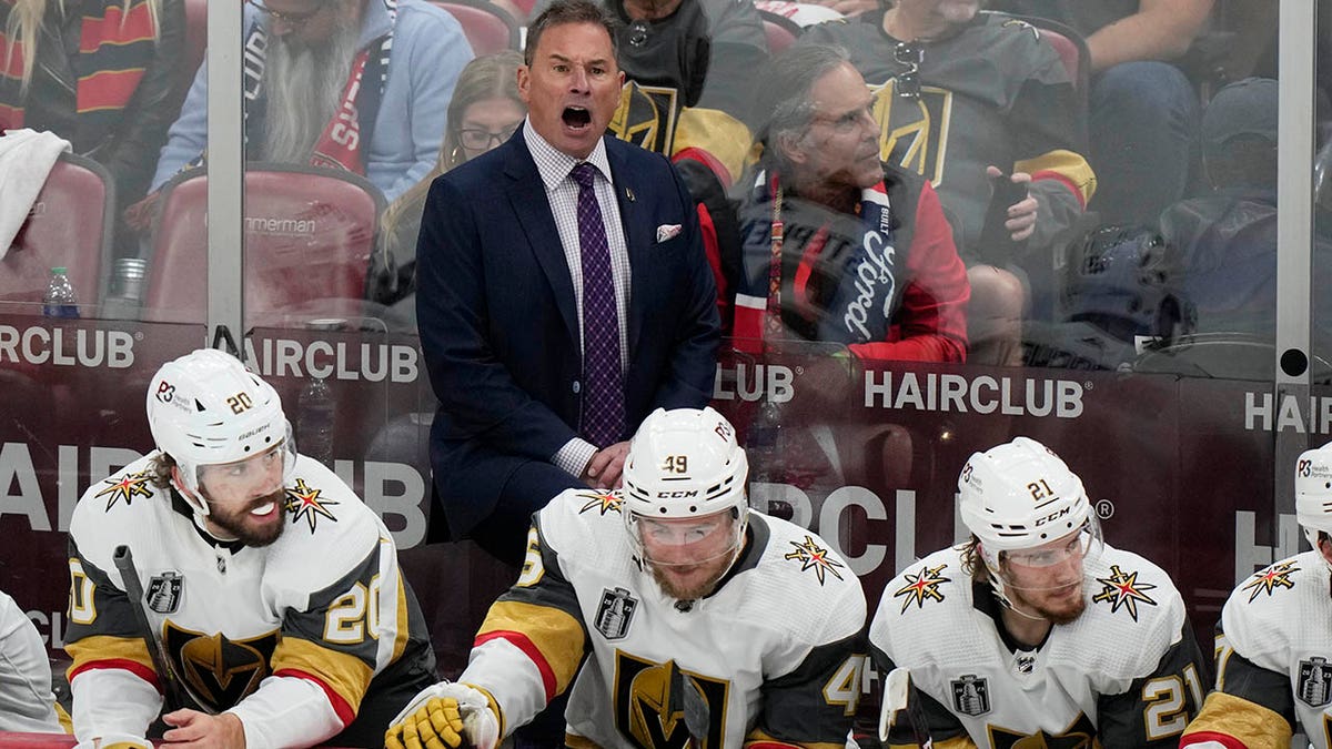 Bruce Cassidy coaches