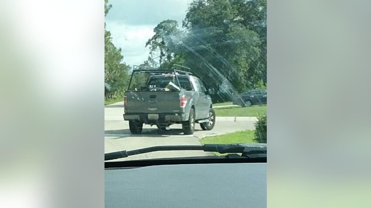 dog dragged truck