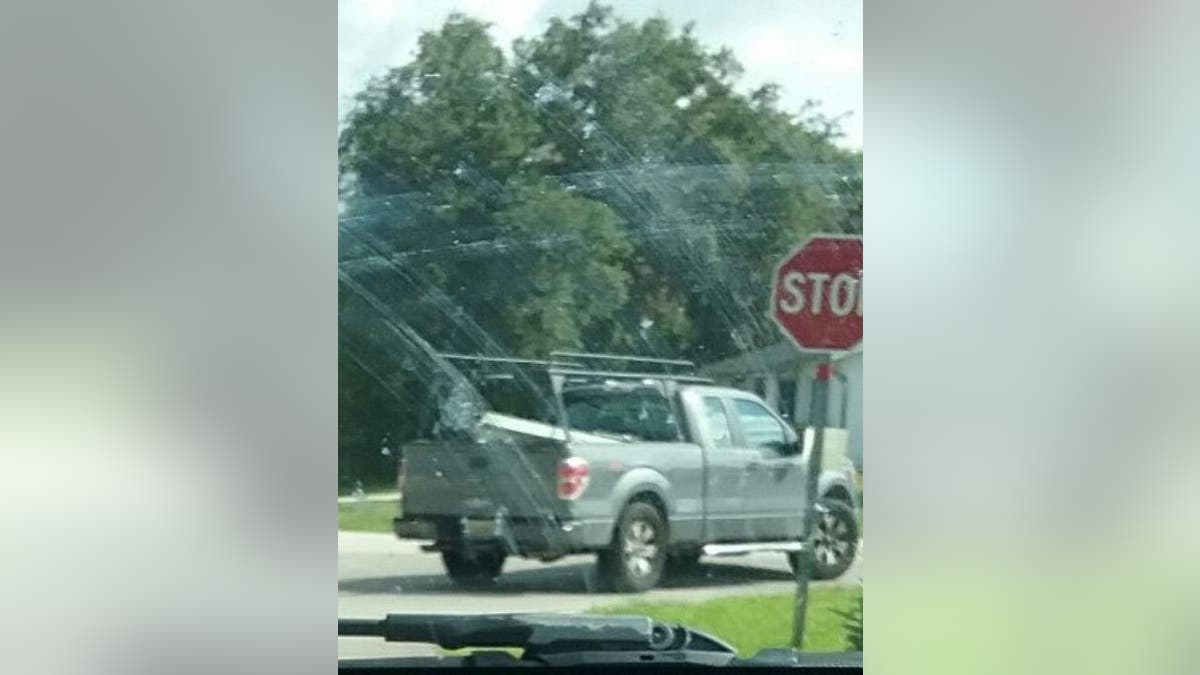 Florida driver caught on video dragging dog nearly half a mile is ...