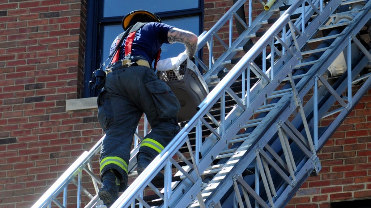 A Davenport firefighter brings down a pet