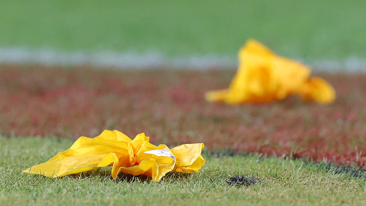 Flags on the field