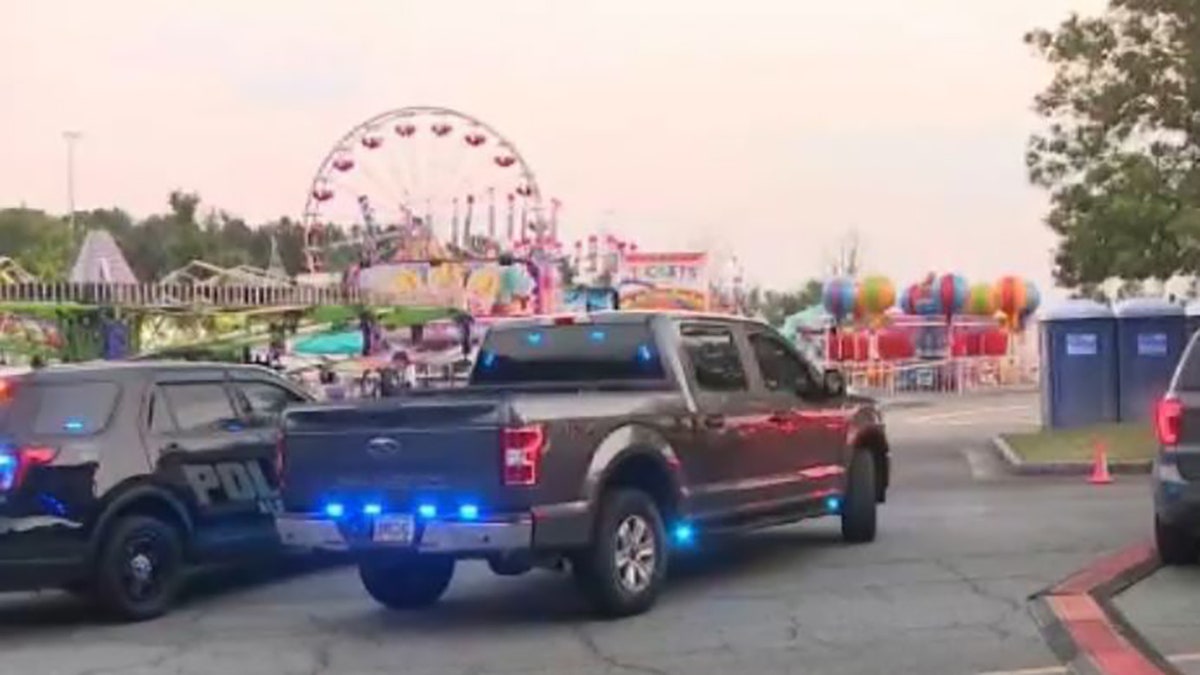 authorities at carnival, ferris wheel in background