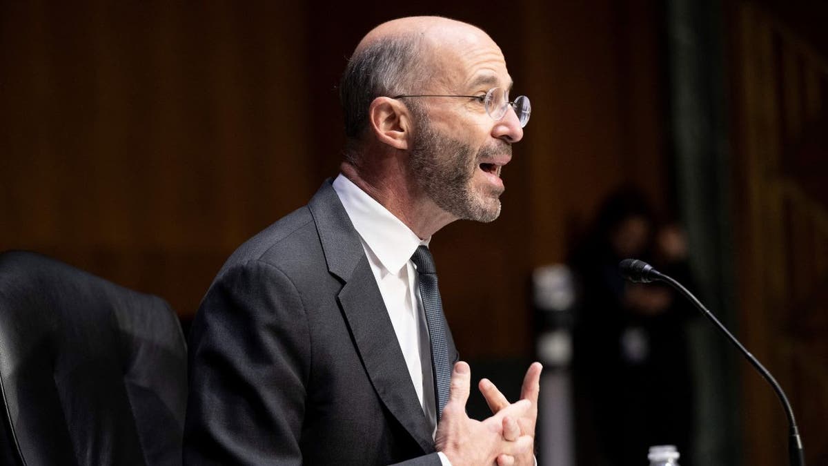 Malley speaking during hearing