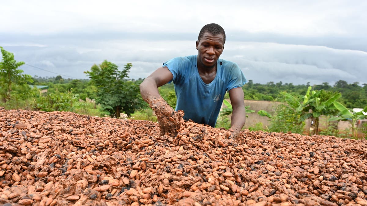 Africa farming Ai