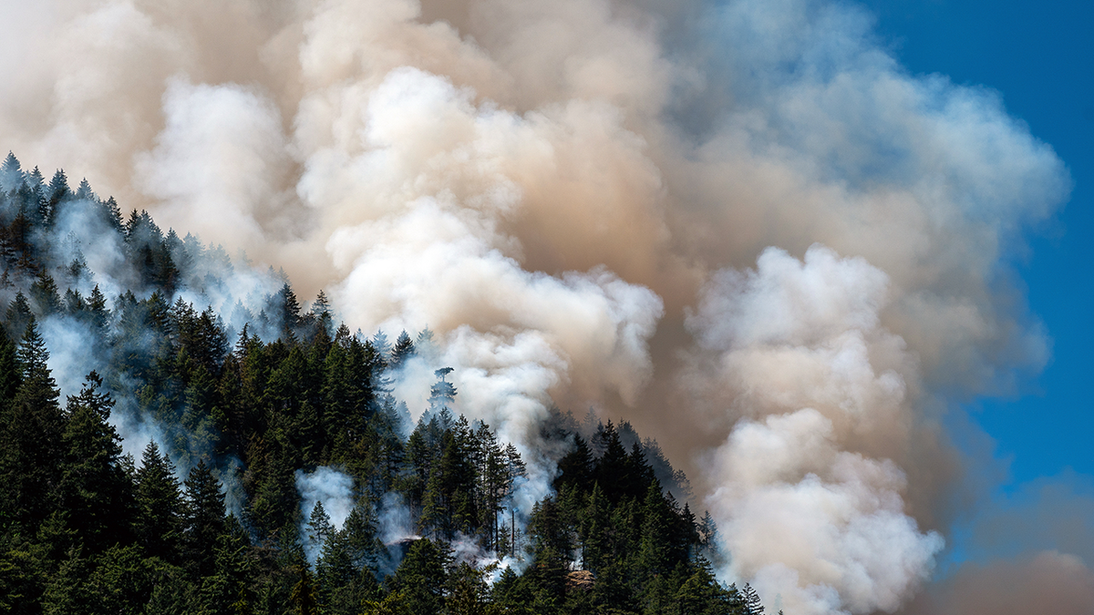 British Columbia wildfire
