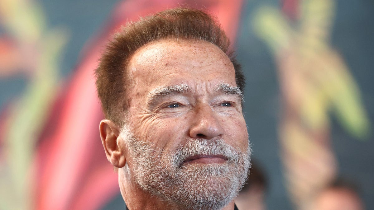 close up of Arnold Schwarzenegger with a beard.