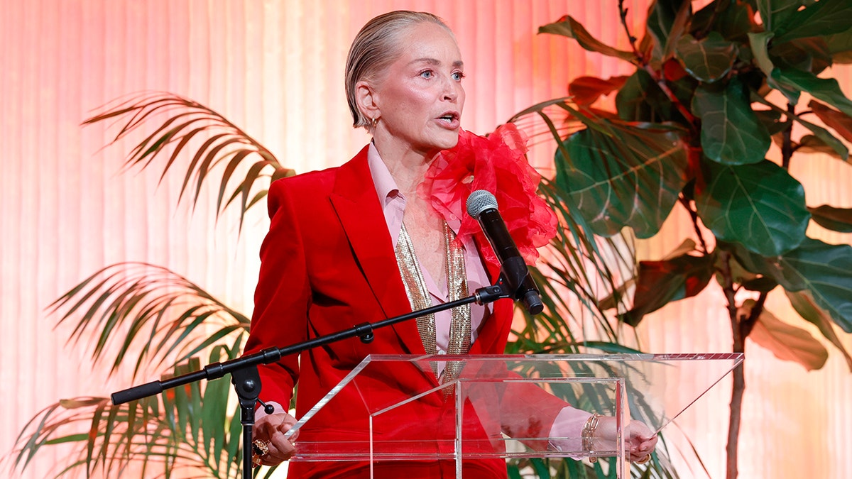 Sharon Stone from the side looks out at the audience at the 'Raising Our Voices' luncheon in a red suit