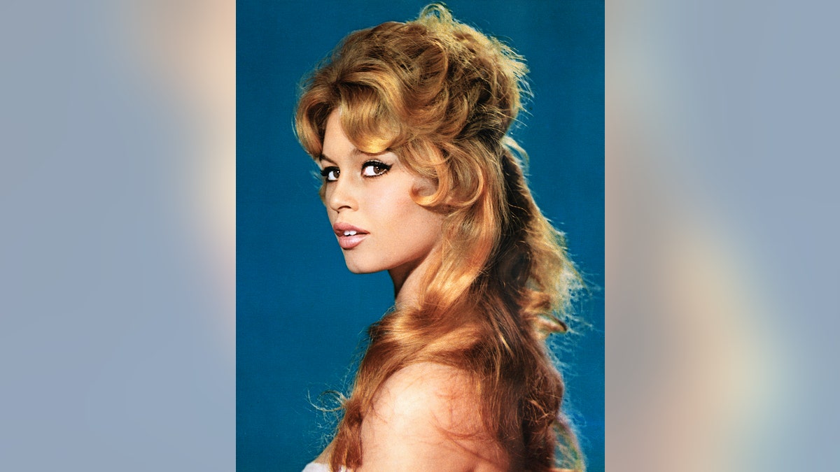 A close-up of Brigitte Bardot