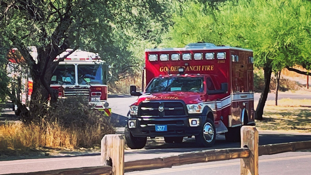 ambulance and fire truck at park