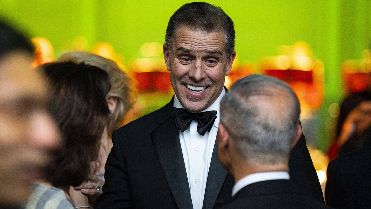 Hunter Biden in black coat and tie at state dinner