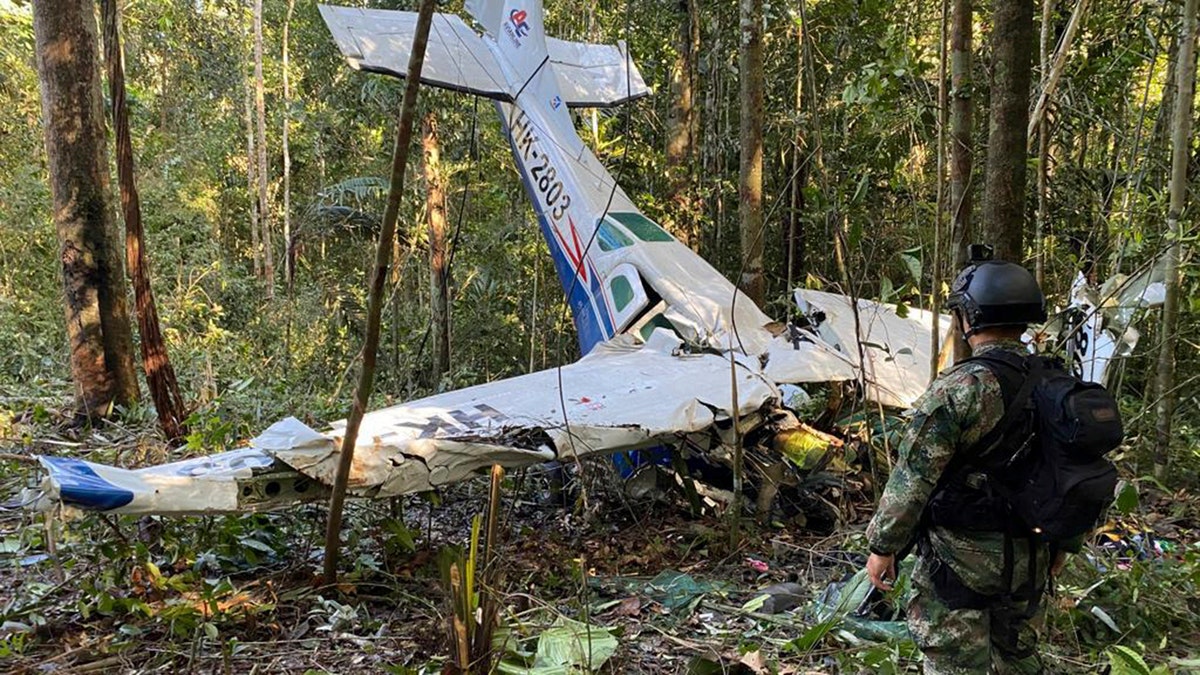 Soldier stands in front of crashed plane in jungle