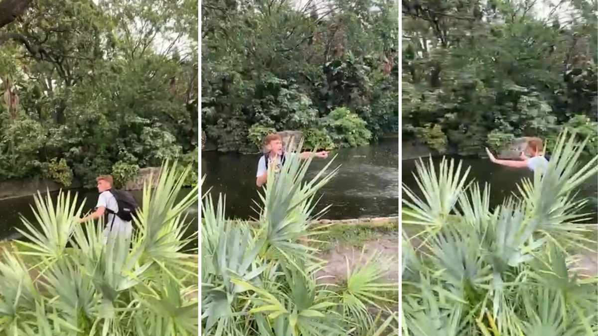 Three video still shots of the man who jumped into the Busch Gardens Tampa Bay alligator enclosure. He moved around the space.