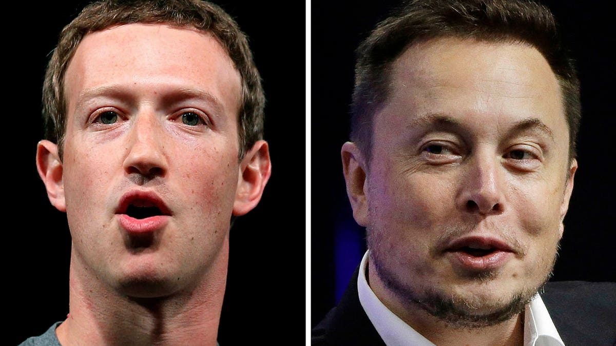 Mark Zuckerberg and Elon Musk