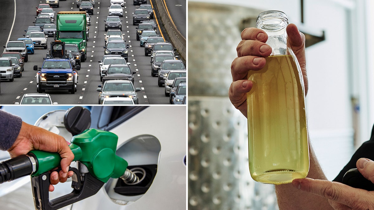 milk cars