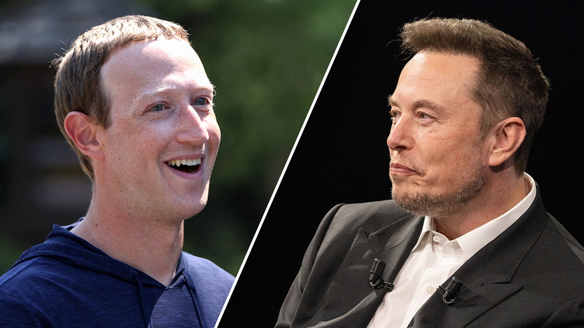 Mark Zuckerberg, Elon Musk