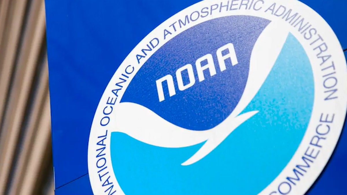NOAA navy and sky blue logo and white bird in circle
