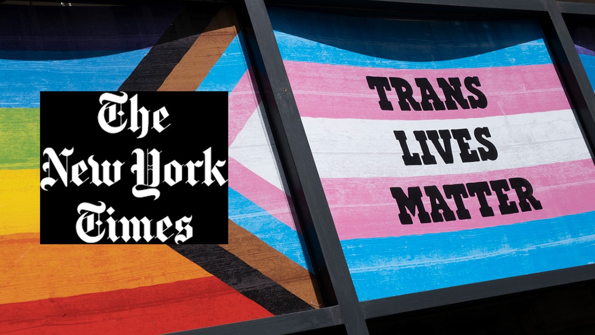 New York Times logo with LGBTQ and trans flag