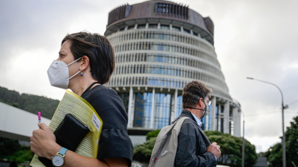 Masked people outside New Zealand Parliament