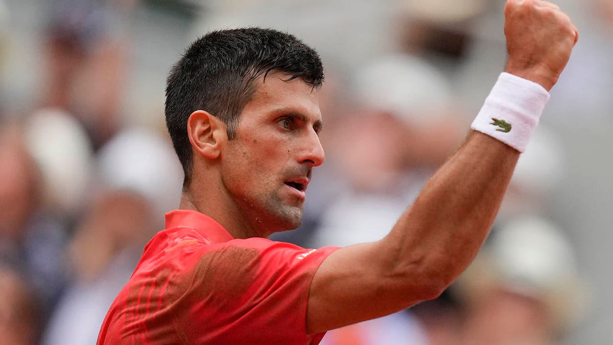 Novak Djokovic wins French Open point