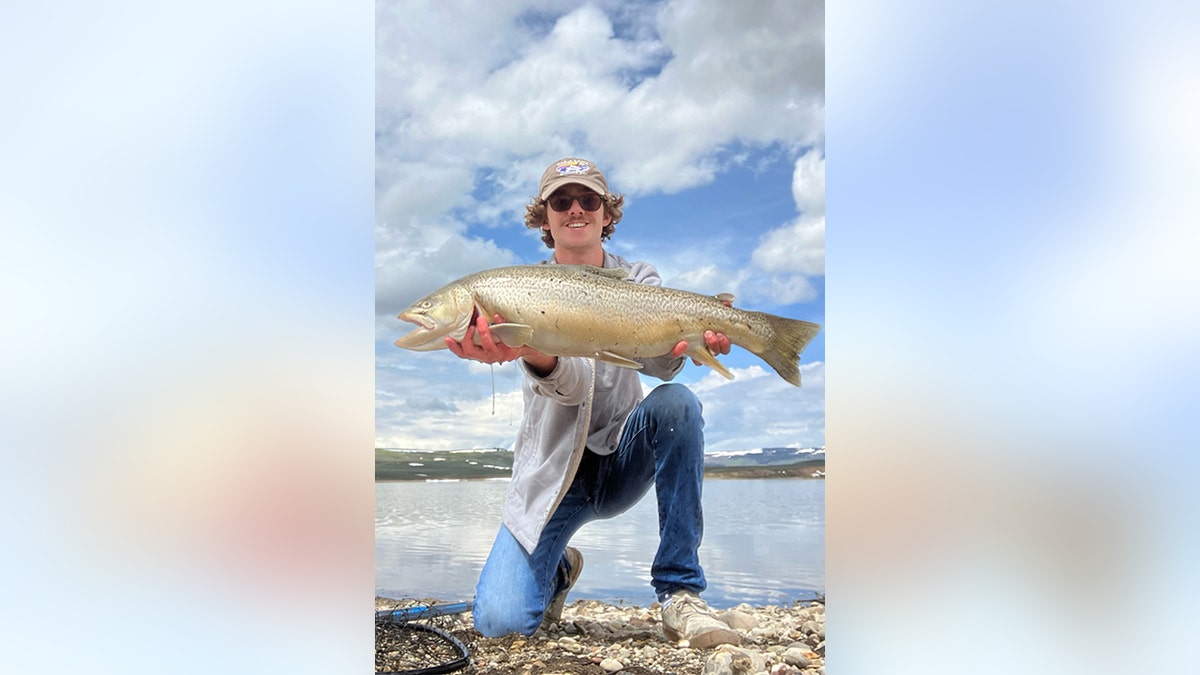Wyoming angler breaks tiger trout state record with 31-inch catch: 'Most  exciting day of my life