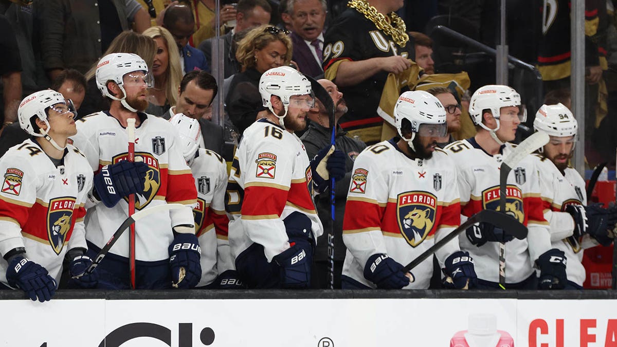 Panthers players on the bench
