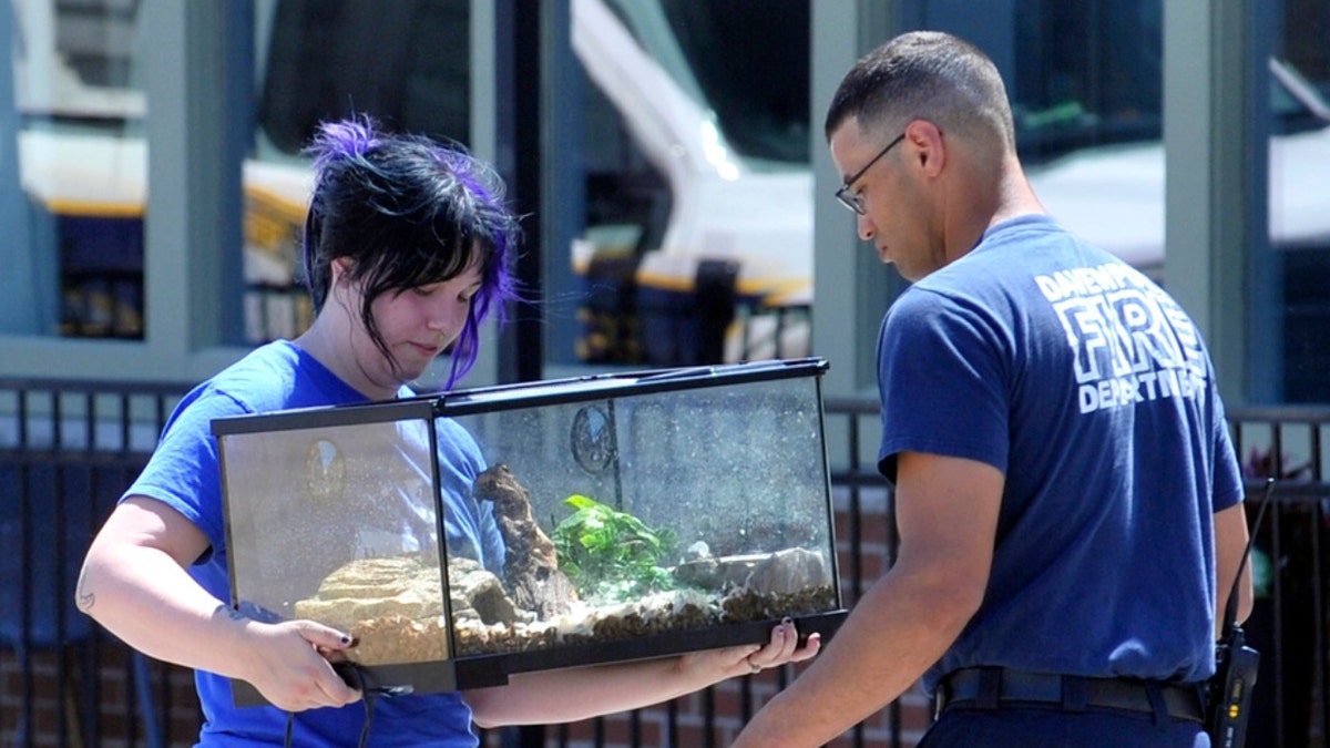 A Davenport firefighter hands over a terrarium to Scott County Humane personnel